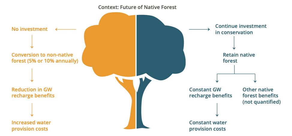 Context: Future of Native Forest