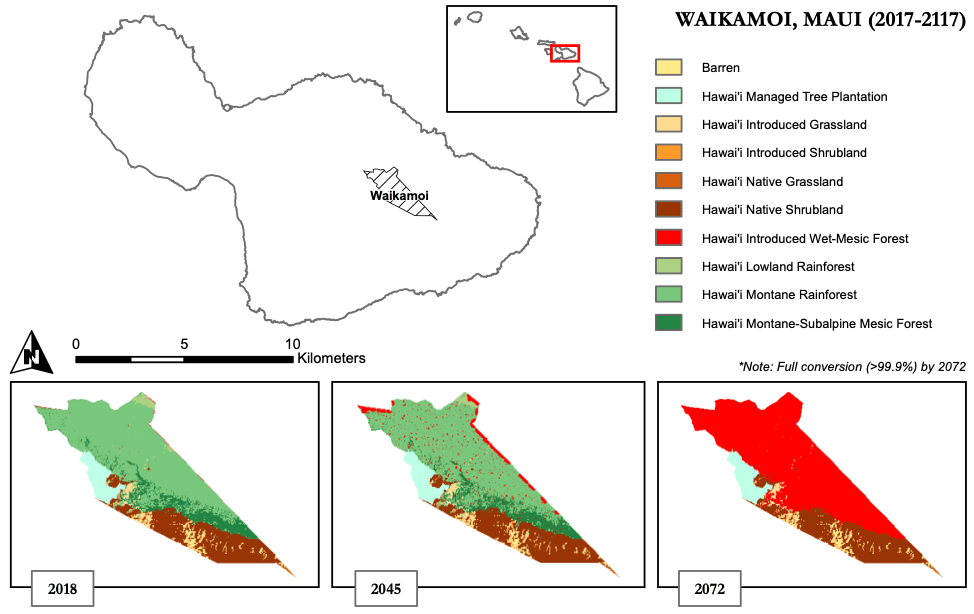 Modeled spread of non-native canopy species in Waikamoi without conservation (assuming a 10% spread).