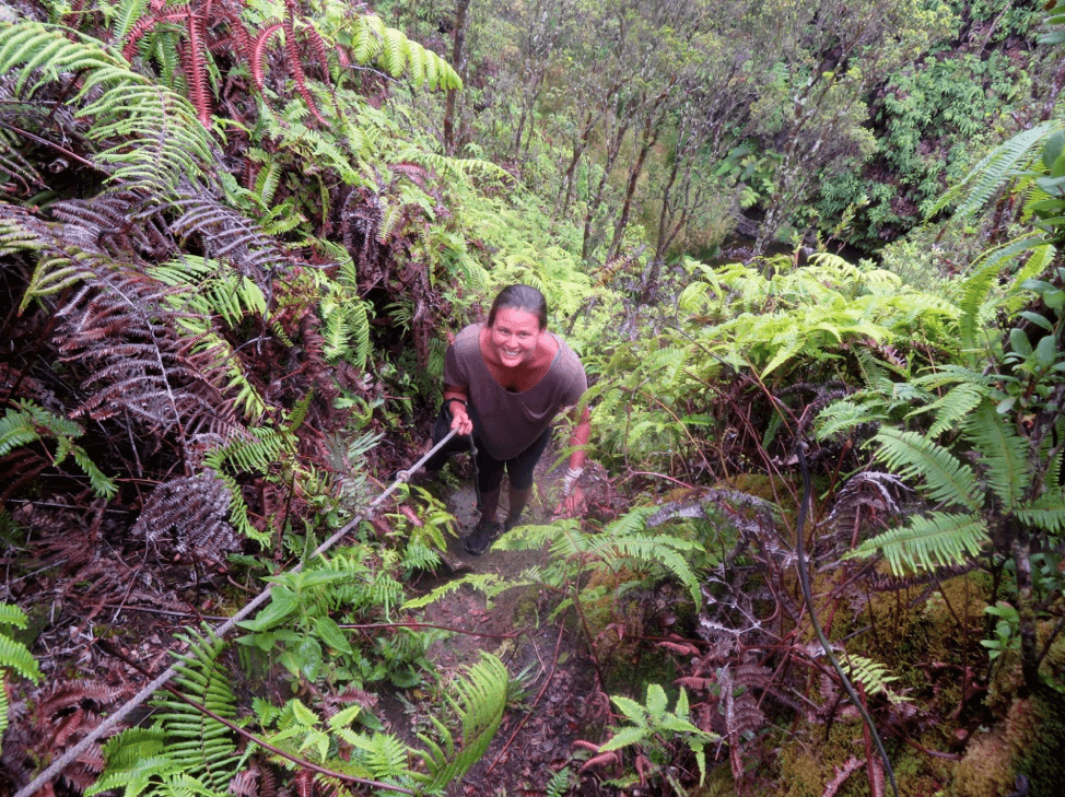 UHERO graduate student Sarah Medoff hikes in the Waikamoi preserve.