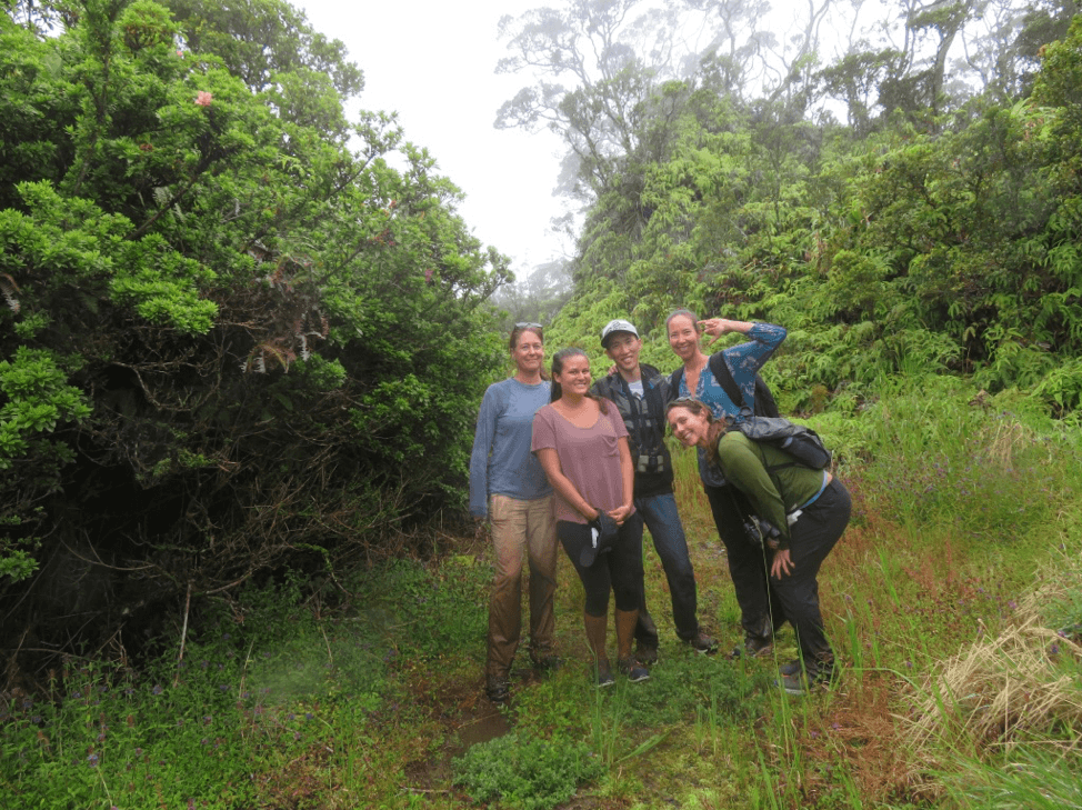 UHERO team at Waikamoi with The Nature Conservancy.