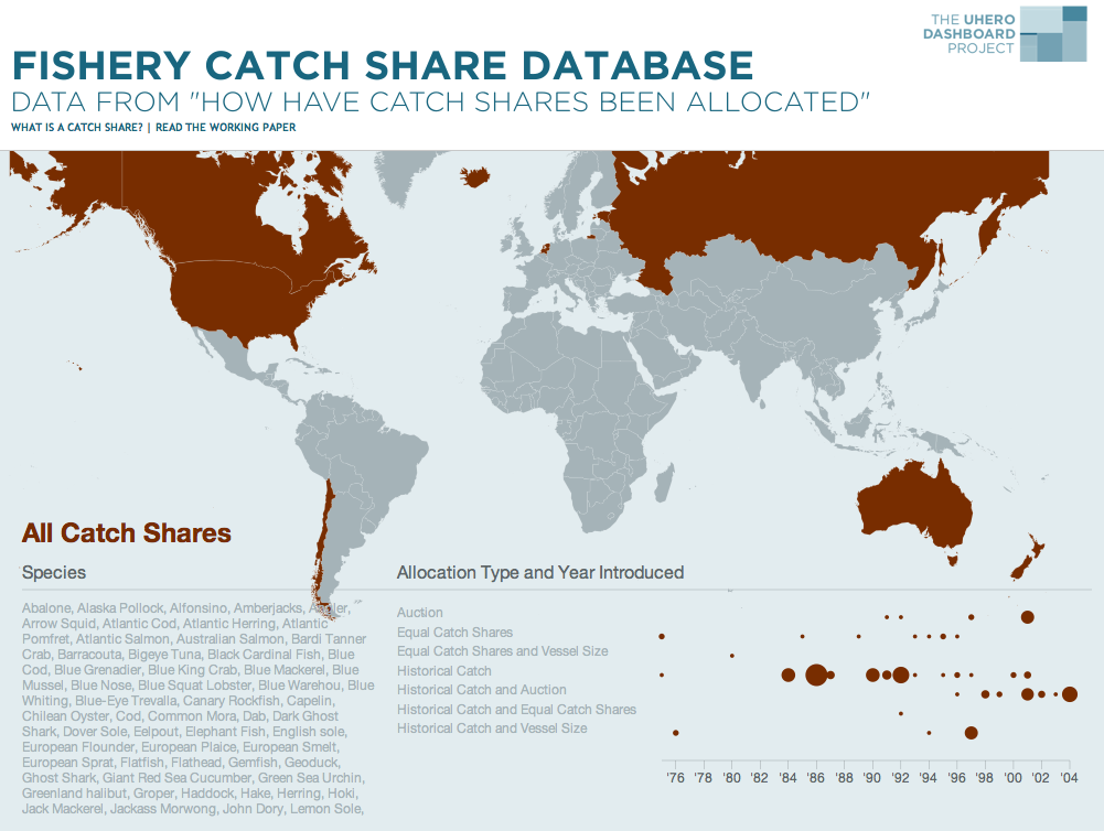 Catch shares dashboard screenshot