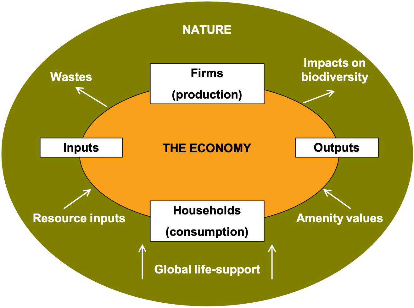 Diagram describing the "environomy"